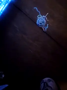 Snapshot of UncutHammer69 chatting on April 2026 03:06:01 PM UncutHammer69 online show from April 2026 03:06:01 PM