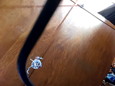 Snapshot of UncutHammer69 chatting on April 2026 09:21:02 PM UncutHammer69 online show from April 2026 09:21:02 PM