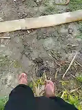 bigh96dik online show from January 2025 08:41:02 AM