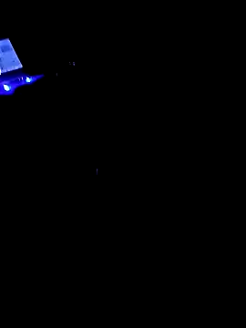 DespisedStallion online show from December 2024 01:41:02 AM