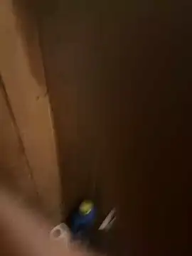 mikeylong online show from November 2025 12:15:02 PM