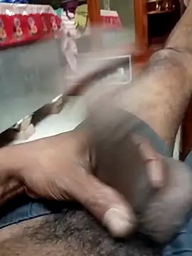 Bengali BULL1 online show from April 2026 05:51:01 PM