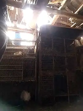 sarpe4 online show from January 2026 08:16:01 AM