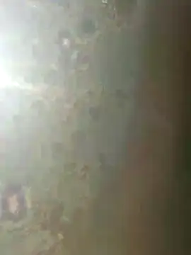 Snapshot of misscectito13 chatting on November 2025 10:31:01 AM misscectito13 online show from November 2025 10:31:01 AM