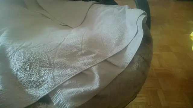 Python43 online show from February 2025 08:39:02 AM