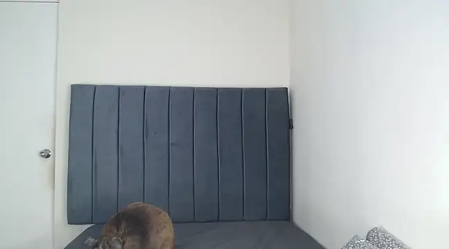 Chanelsexyy online show from March 2025 11:53:01 PM