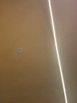 Gatitacarlita online show from November 2025 10:27:01 AM