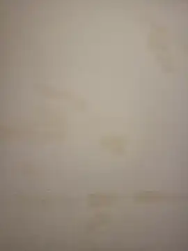 Adivaaa online show from March 2026 11:27:01 AM