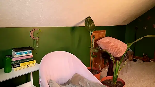 Snapshot of naturestwisted chatting on March 2025 06:33:01 PM naturestwisted online show from March 2025 06:33:01 PM