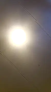 Snapshot of PinkTheHawk chatting on January 2025 10:07:02 PM PinkTheHawk online show from January 2025 10:07:02 PM