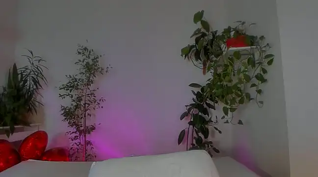 Snapshot of Masha_01 chatting on January 2025 03:51:01 PM Masha 01 online show from January 2025 03:51:01 PM