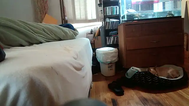 Snapshot of jumpingtomflash chatting on April 2026 02:01:01 AM jumpingtomflash online show from April 2026 02:01:01 AM