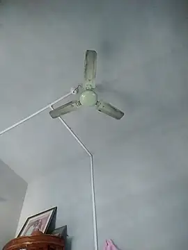 Dogol1990 online show from October 2025 05:57:02 AM