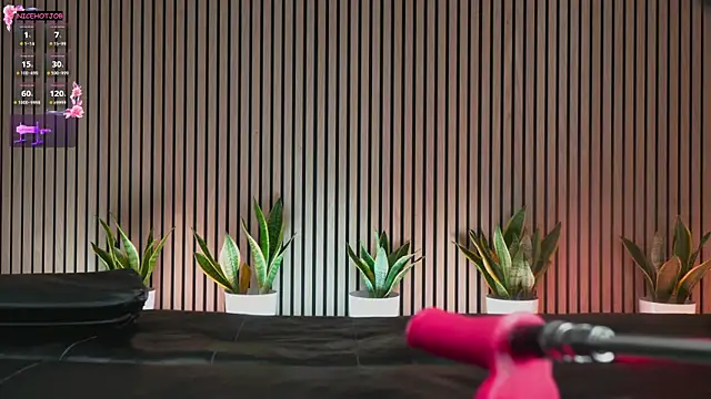 Snapshot of NiceHotJob chatting on February 2025 07:00:01 PM NiceHotJob online show from February 2025 07:00:01 PM