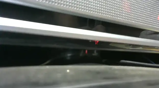 Snapshot of gauchors20 chatting on December 2024 01:51:01 AM gauchors20 online show from December 2024 01:51:01 AM