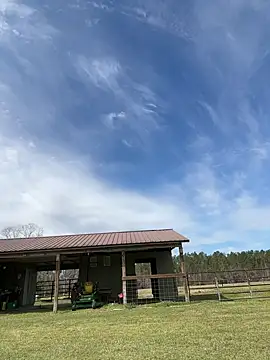 Sitonmyface2020xh online show from March 2025 10:10:01 PM