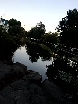 Snapshot of nicali78 chatting on September 2025 01:31:02 AM nicali78 online show from September 2025 01:31:02 AM