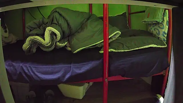 Snapshot of Walltaz chatting on March 2026 05:01:02 AM Walltaz online show from March 2026 05:01:02 AM