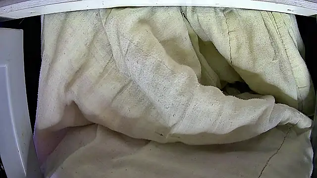 Snapshot of Walltaz chatting on April 2026 04:48:02 AM Walltaz online show from April 2026 04:48:02 AM