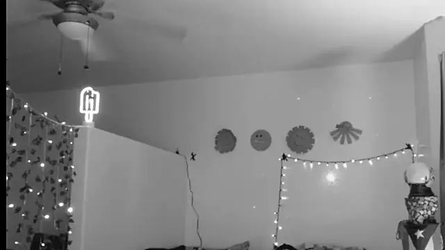 Snapshot of mycock2474u chatting on February 2025 03:56:02 AM mycock2474u online show from February 2025 03:56:02 AM