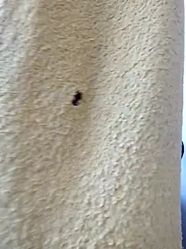 Snapshot of david_geam chatting on March 2026 06:51:02 AM david geam online show from March 2026 06:51:02 AM