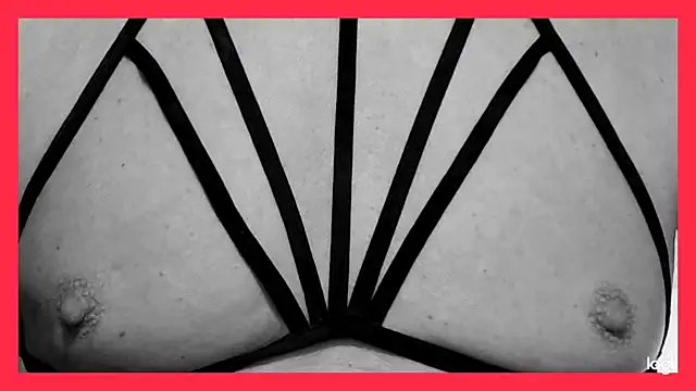 Sokrates3 online show from June 2026 12:48:02 PM