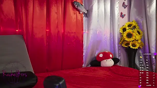 Rachellkors online show from February 2025 11:34:02 AM