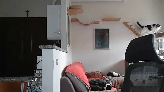 Snapshot of simona60 chatting on February 2025 02:07:01 PM simona60 online show from February 2025 02:07:01 PM