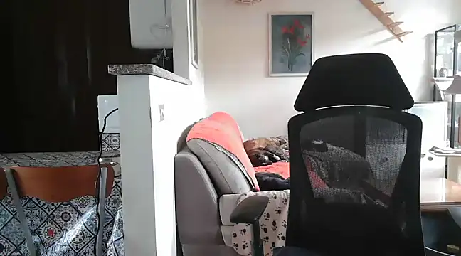 Snapshot of simona60 chatting on February 2025 02:14:02 PM simona60 online show from February 2025 02:14:02 PM