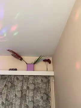 Ebony nasty girl online show from December 2024 07:15:02 AM