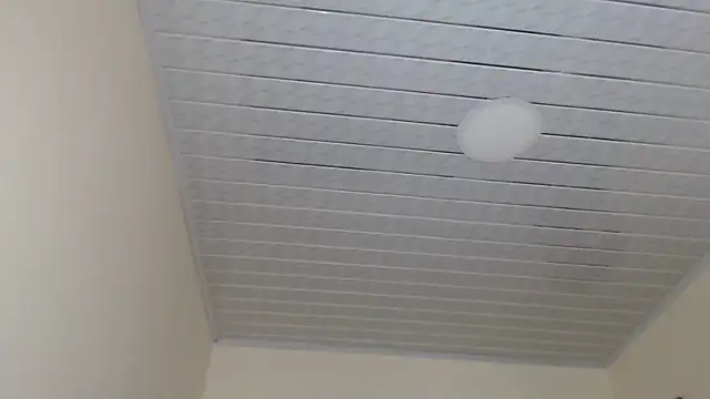 Snapshot of adrixxx38 chatting on November 2025 07:37:01 PM adrixxx38 online show from November 2025 07:37:01 PM