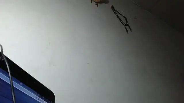 Snapshot of adrixxx38 chatting on March 2026 12:17:02 AM adrixxx38 online show from March 2026 12:17:02 AM