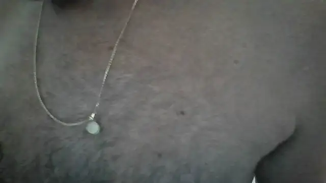 Snapshot of Leo_Big chatting on February 2026 10:14:01 AM Leo Big online show from February 2026 10:14:01 AM