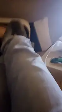 InMeinenMund online show from January 2025 02:39:02 AM