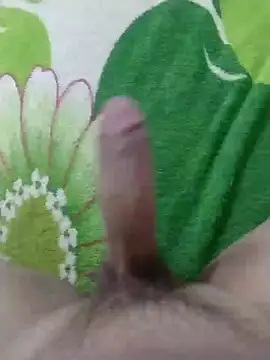 Snapshot of dickbastienweed chatting on January 2025 08:42:01 PM dickbastienweed online show from January 2025 08:42:01 PM