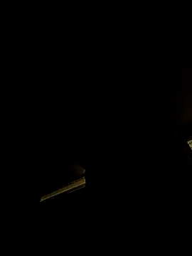 tropikboy online show from February 2026 02:17:02 AM