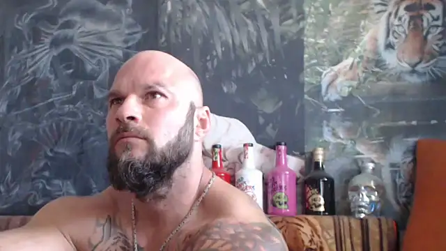 viking 30 online show from September 2025 05:40:01 AM