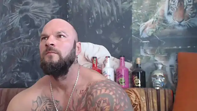 viking 30 online show from September 2025 10:17:01 AM