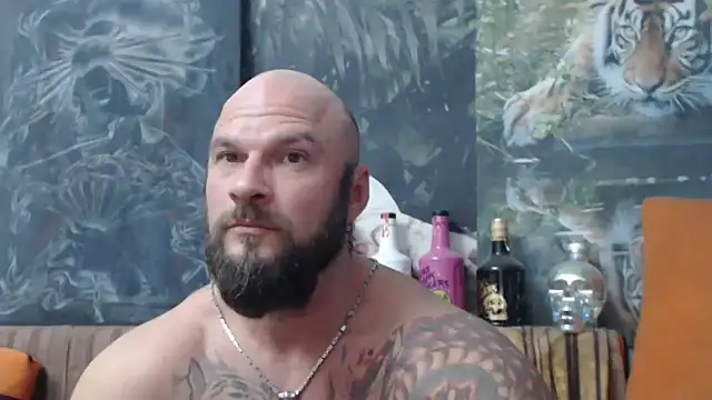 viking 30 online show from September 2025 06:24:02 PM