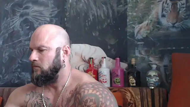 viking 30 online show from October 2025 07:47:02 AM