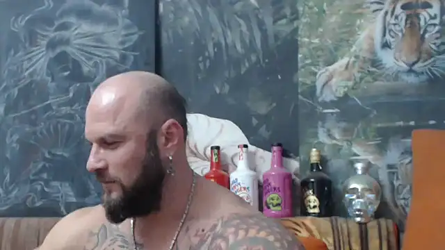 viking 30 online show from October 2025 05:59:01 PM