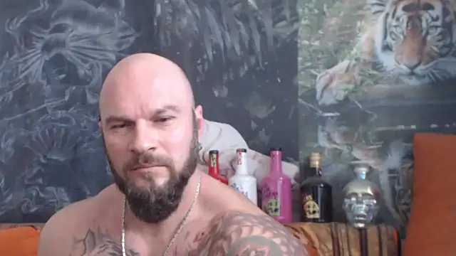 viking 30 online show from October 2025 11:14:02 AM