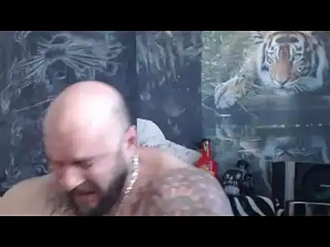 viking 30 online show from April 2026 06:08:01 AM