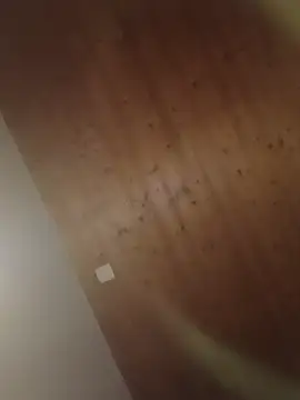 Snapshot of Kw8585kw chatting on March 2026 08:22:02 PM Kw8585kw online show from March 2026 08:22:02 PM