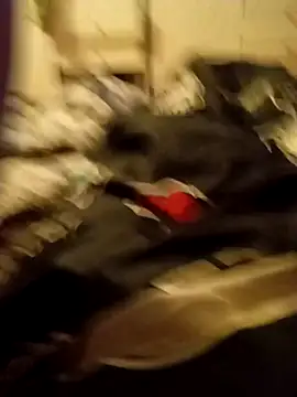 Lm-Schwanz online show from March 2026 11:35:01 PM