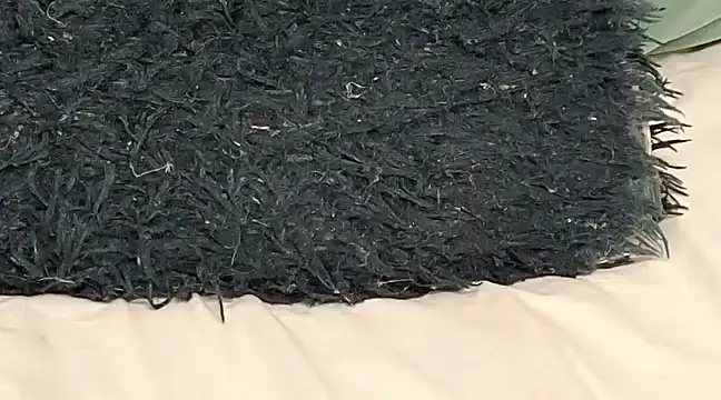 Snapshot of ninaa_fox chatting on February 2025 06:59:02 PM ninaa fox online show from February 2025 06:59:02 PM