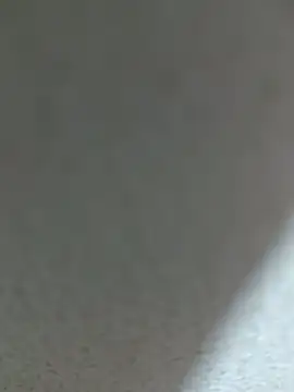 Snapshot of Fghjxdgbbcd chatting on January 2026 09:36:01 AM Fghjxdgbbcd online show from January 2026 09:36:01 AM