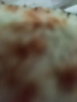 Snapshot of Edsondsos chatting on March 2026 12:12:01 AM Edsondsos online show from March 2026 12:12:01 AM