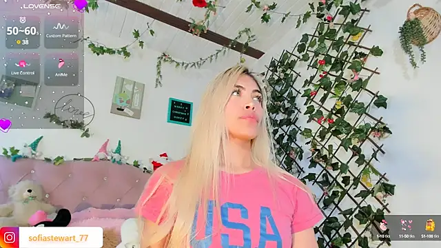 Snapshot of steewart_ chatting on December 2024 11:29:01 PM steewart online show from December 2024 11:29:01 PM