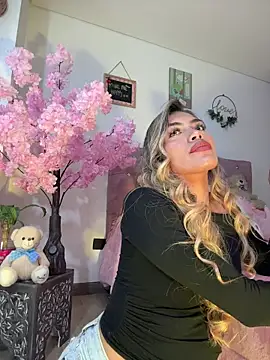 Snapshot of steewart_ chatting on December 2025 11:53:01 PM steewart online show from December 2025 11:53:01 PM